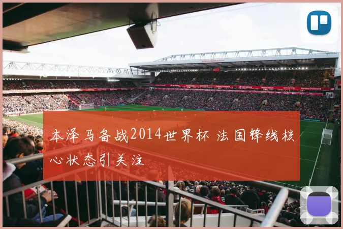 本泽马备战2014世界杯 法国锋线核心状态引关注