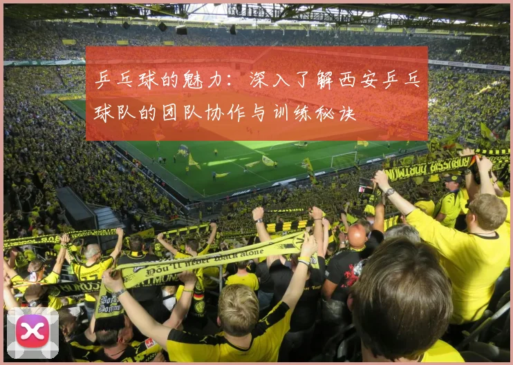 乒乓球的魅力：深入了解西安乒乓球队的团队协作与训练秘诀